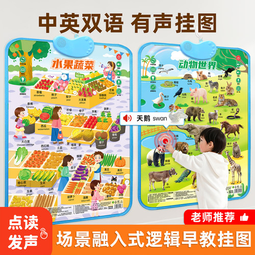 婴幼儿早教启蒙点读发声认知挂图