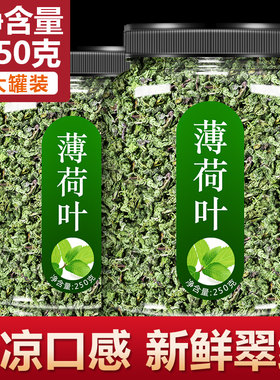 新鲜散装食用泡水喝清凉薄荷叶