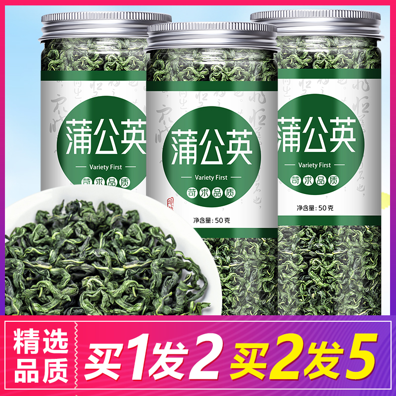 正品特级解毒茶去火通乳腺蒲公英