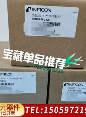 英福康真空计  CDG025D   378-001   1T