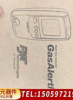 BW GasAlertMax气体检测仪，型号GAMAX3