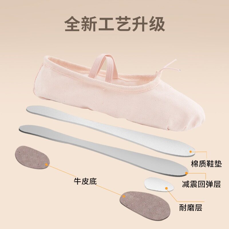 2024 NEW ADULT PROFESSIONAL BALLET SHOES STUDENT DANCE SHOES WOMENS SOFT SOLE DANCING CAT PAW SHOES PRACTICE BODY SHOES