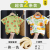 2-Pack[Light Green Kumquat + Small Forest]