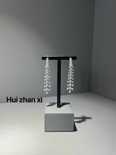 Hui zhan xi白钻流苏长款耳坠耳饰