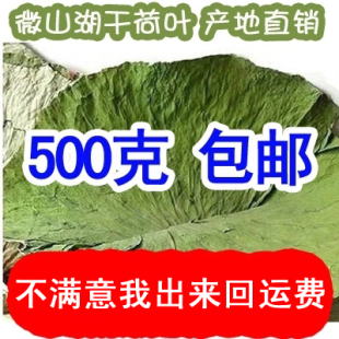 500g泡茶 微山湖特级野生新鲜整张干荷叶片一斤 纯天然花草茶散装