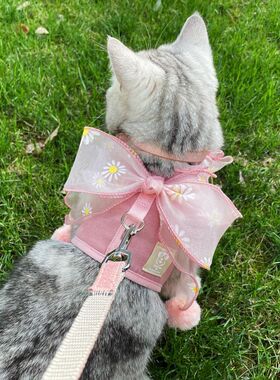 宠物猫咪牵引绳遛猫绳猫绳子舒适透气蝴蝶结胸背带兔蓝色粉色可爱