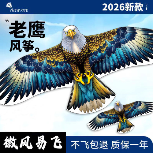 老鹰风筝可折叠便携2026新款