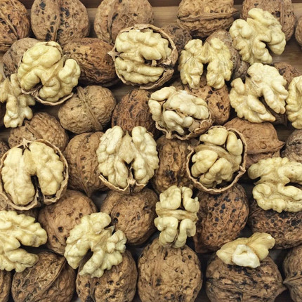 四川大凉山新鲜干核桃现货非去青皮湿核桃5斤薄皮孕妇新鲜干核桃