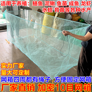 80目网箱养殖水产养鱼存鱼网箱育苗泥鳅鳝鱼防逃网箱定做养鱼网箱