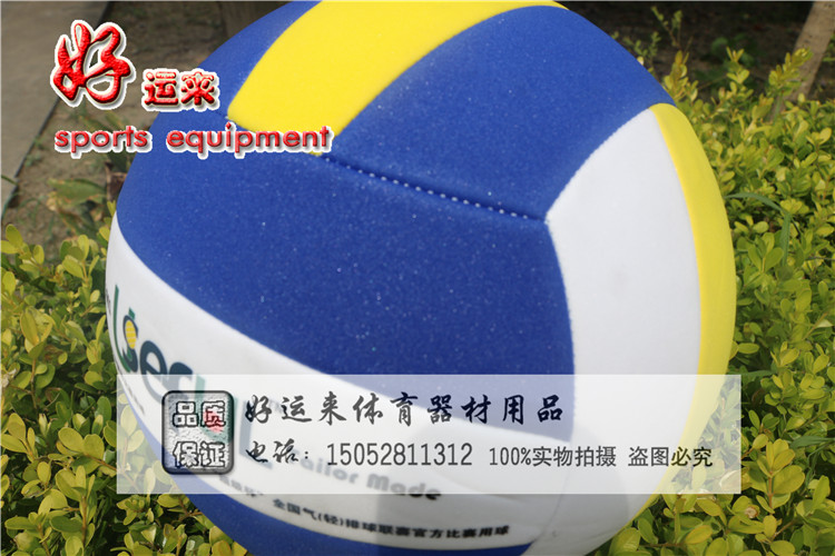 Ballon de volley - Ref 2013097 Image 3