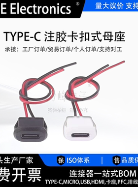 typec 2p 注胶卡扣式母座插头 台灯椭圆充电口 白/黑色 插座母头