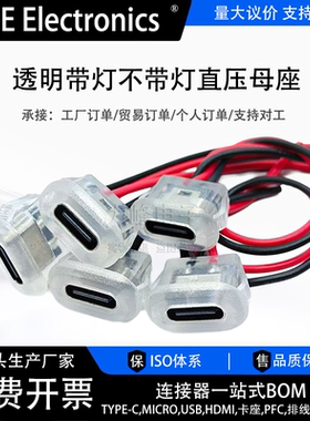 Type-C 2P注胶直压式母座透明带线台灯电动汽车椭圆充电口改装diy