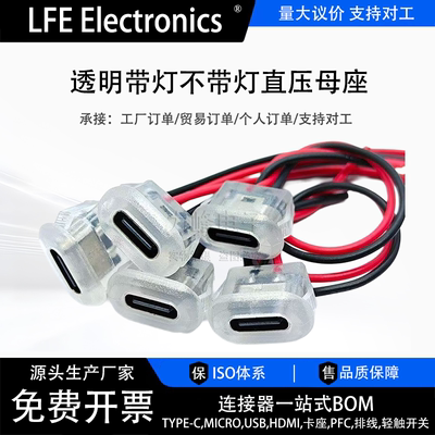 Type-C 2P注胶直压式母座透明带线台灯电动汽车椭圆充电口改装diy