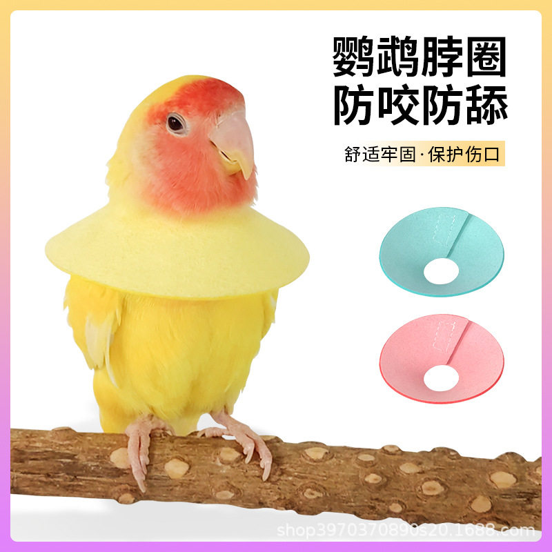 鹦鹉鸟伊丽莎白圈防咬毛啄毛受伤防护脖套虎皮牡丹围脖工厂批发