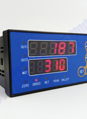 高精度称重控制仪 CTB6(F) 称重仪表 力值显示控制仪B6(F)系列