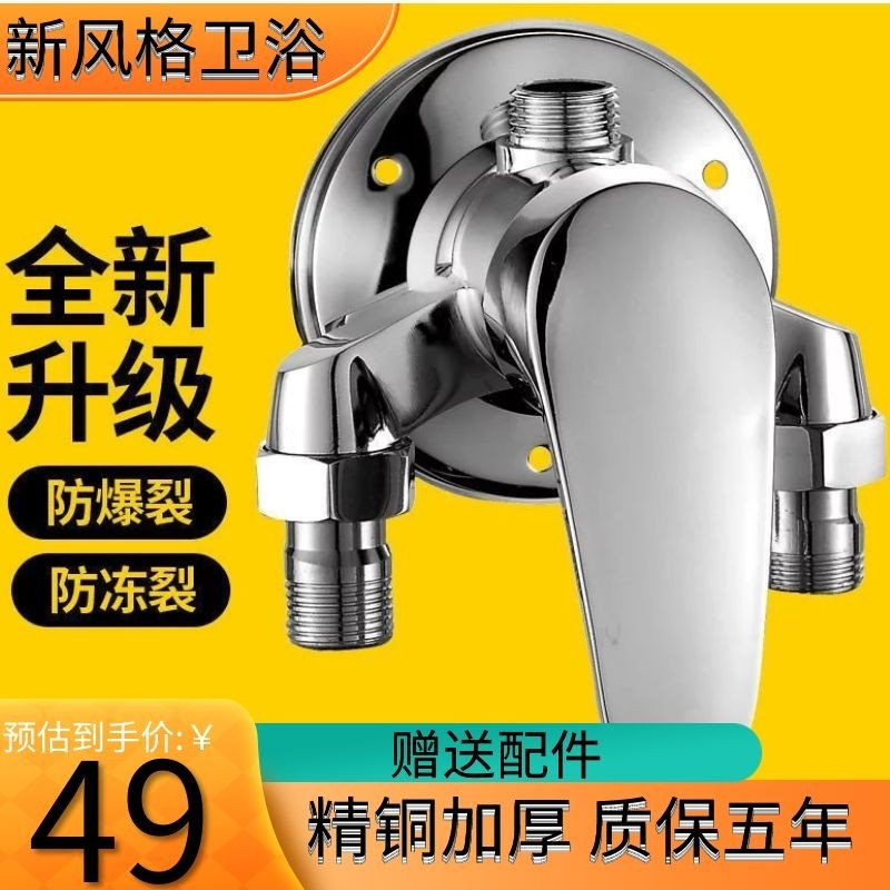 德国明装混水阀全铜淋浴花洒套室