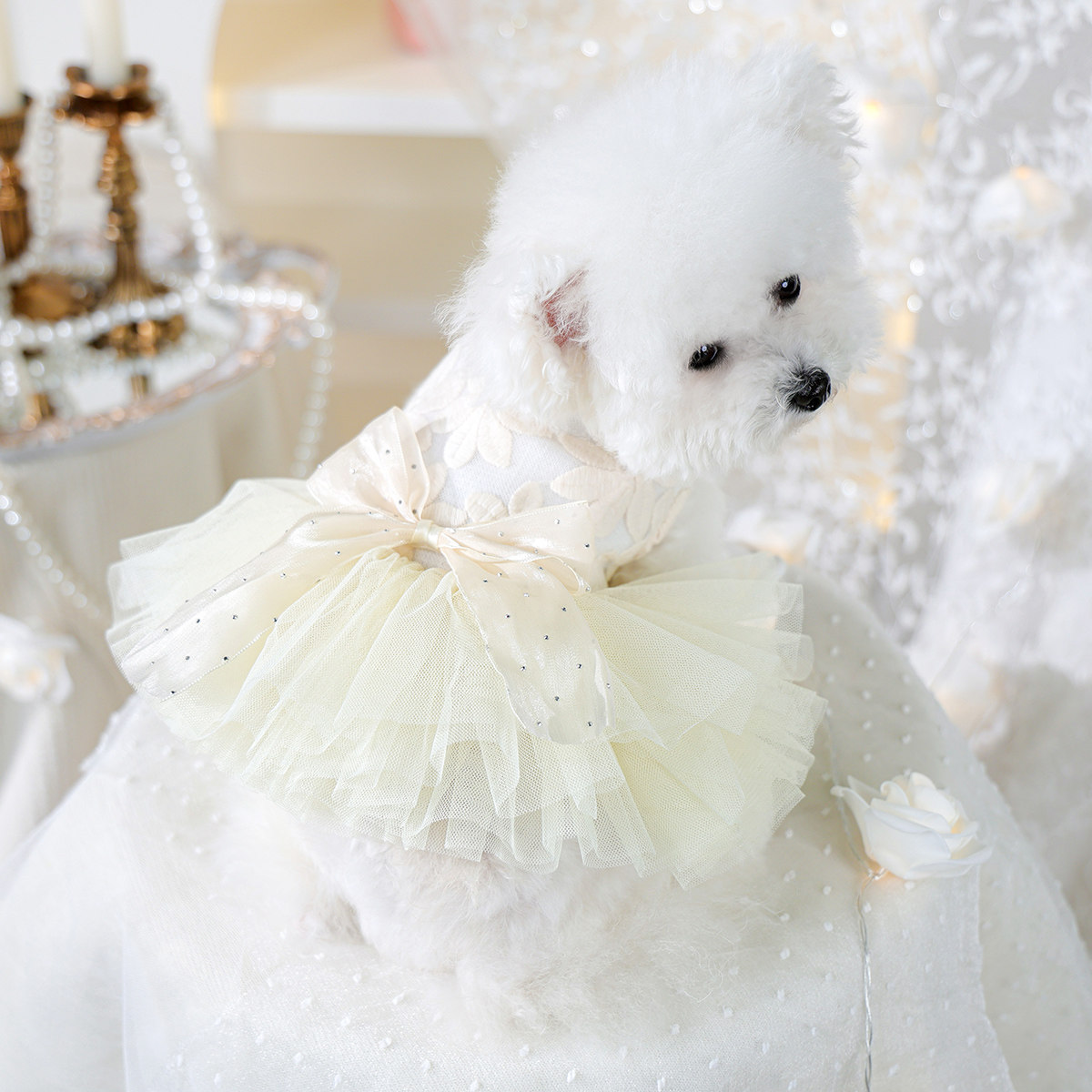 PETCIRCLE狗狗衣服夏天公主裙