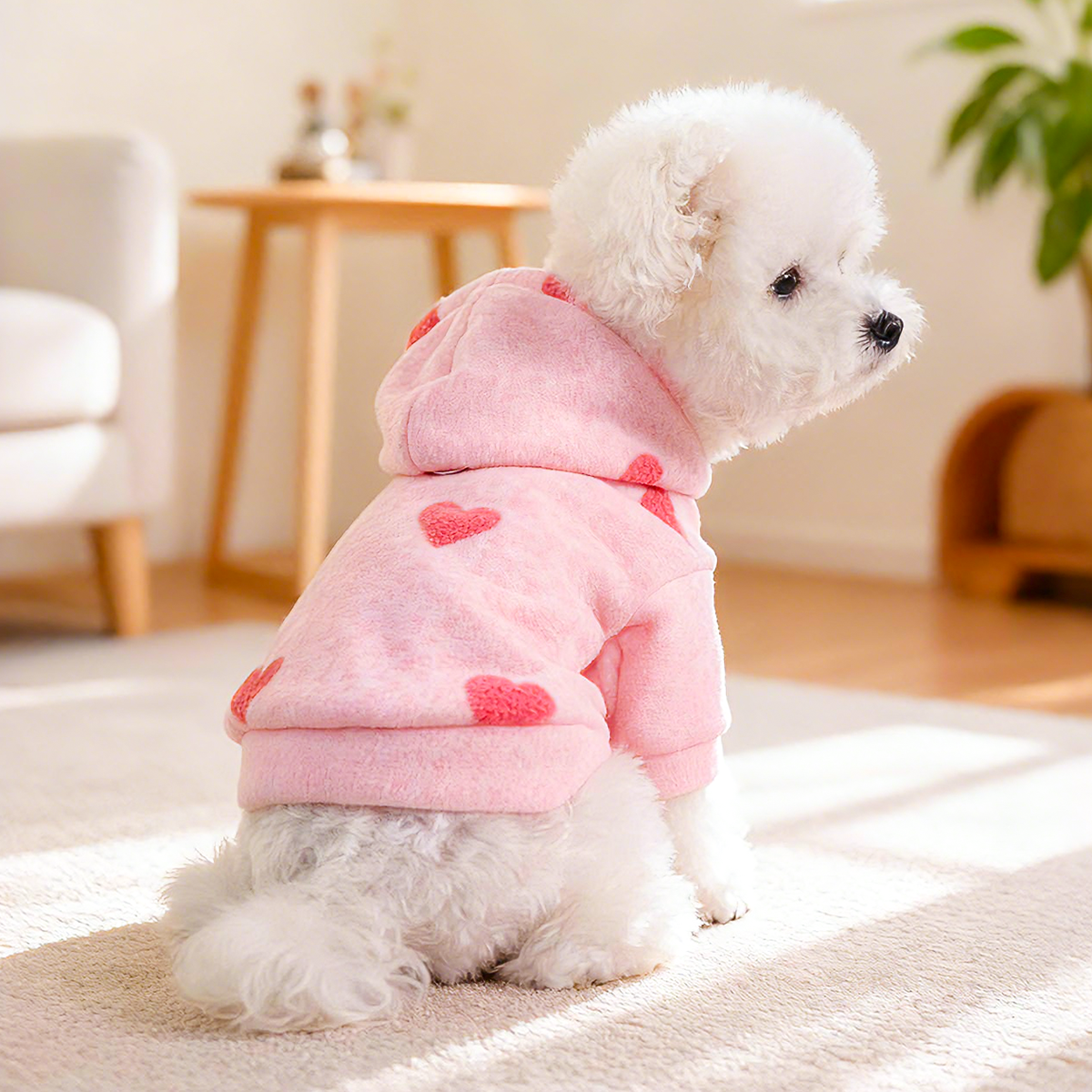 宠物保暖外套狗狗衣服秋冬卫衣