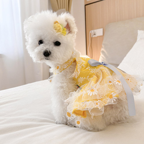 PETCIRCLE蝴蝶结公主裙女狗衣服