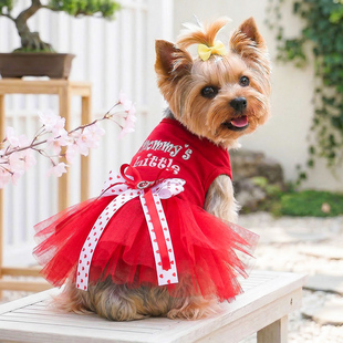 狗狗衣服春夏薄款裙子红色公主裙泰迪博美比熊约克夏小型犬宠物猫