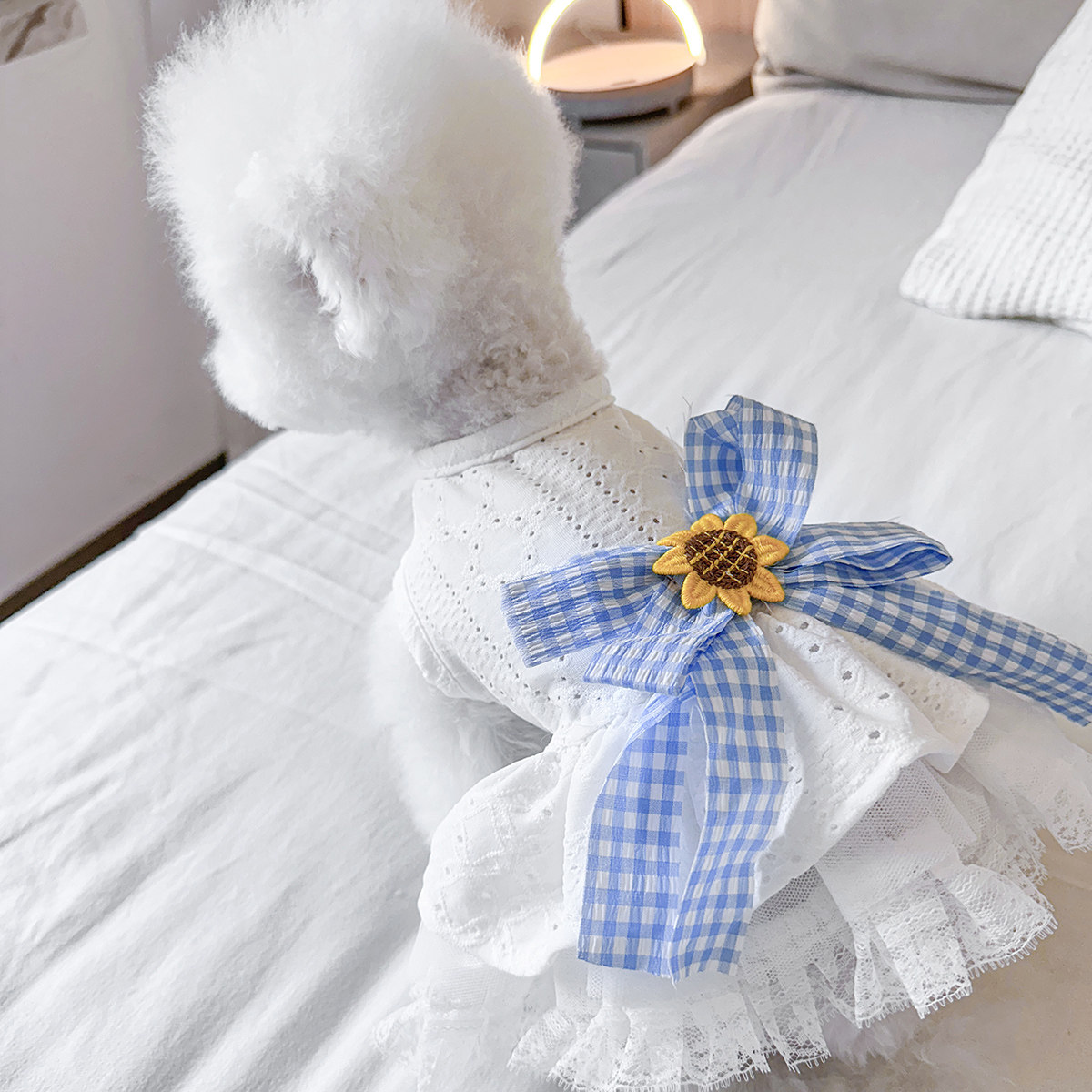 Petcircle 宠物狗狗衣服夏天泰迪比熊博美春夏款薄款公主小狗裙子