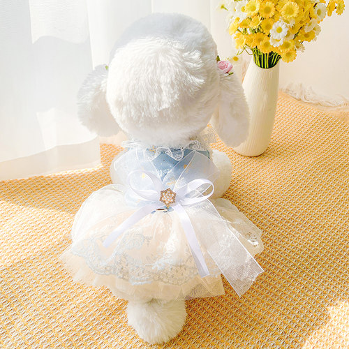 夏天公主裙狗狗衣服宠物裙子