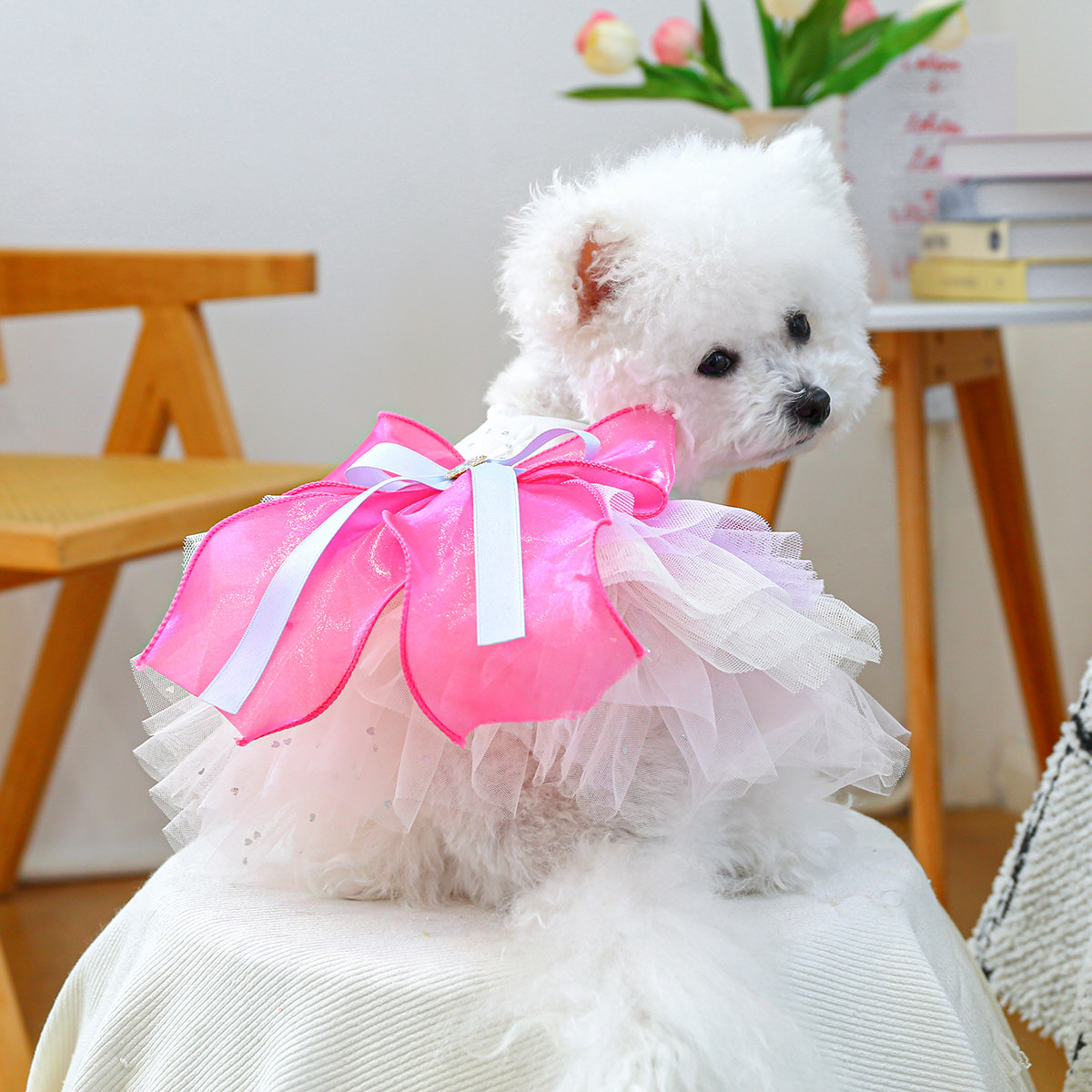 PETCIRCLE夏季连衣裙2025新款
