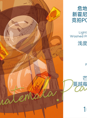 玫瑰咖啡 危地马拉PCA 日晒帕彻#4 手冲单品咖啡豆 竞标小众稀缺