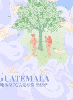 玫瑰咖啡 危地马拉PCA #9 水洗Anacafe14 手冲单品 竞标小众稀缺