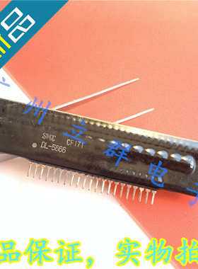 DL-5666 进口SWCC 瓷片厚膜 直插21脚 丨