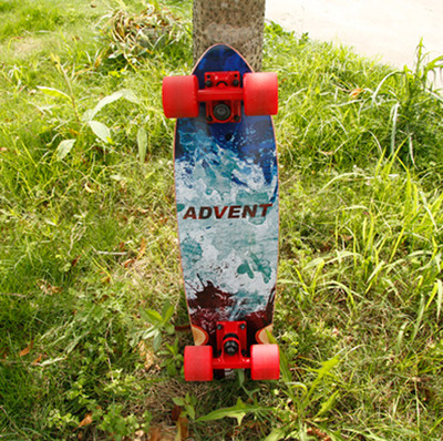 Skateboard pour homme femme - Ref 2600238 Image 3