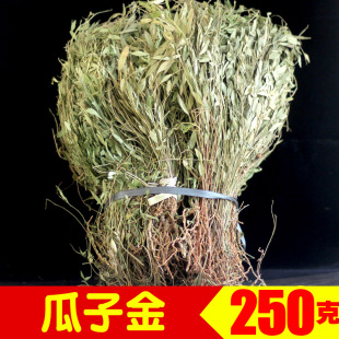 瓜子金中草药250g正品 来马回 勒马回 辰砂草 惊风草瓜子金草野生