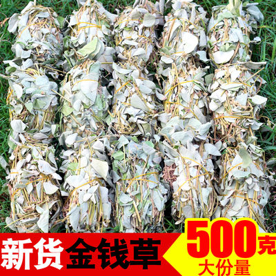 野生500g溶石大叶广金钱草金钱草