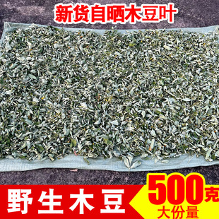 新鲜晒干木豆叶中草药小孩黄豆洗澡去水豆皮肤木豆叶子观音三叶豆