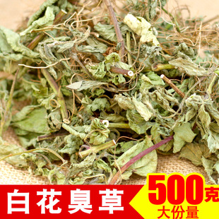 新鲜晒干野生白花臭草500g大叶白花香草霍香蓟胜红蓟草咸虾花