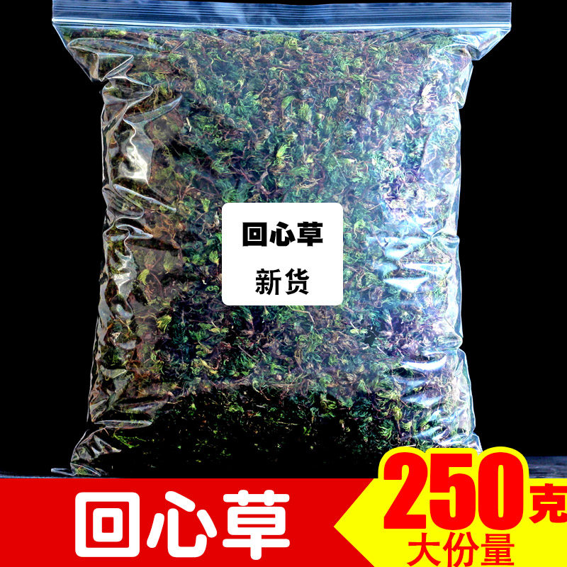 新货回心草野生云南中药材大叶藓茴心草正品中草药
