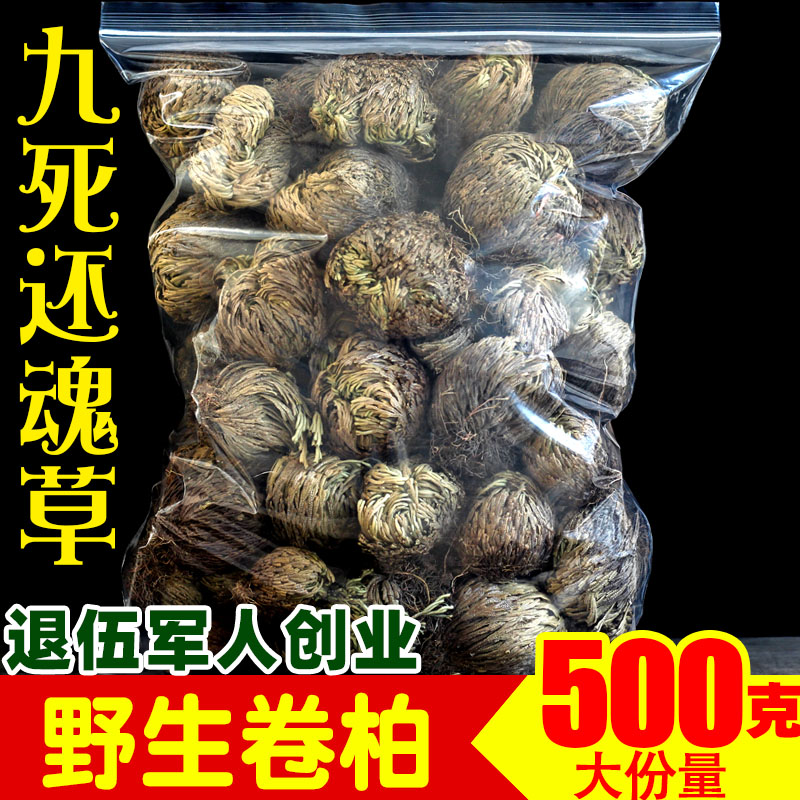 九死还魂草卷柏中药500g中草药不死草还阳草石柏岩柏可盆栽中药-封面