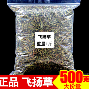 正品飞扬草中药材节节花 白乳汁草 大飞扬草肤痒洗澡通少乳