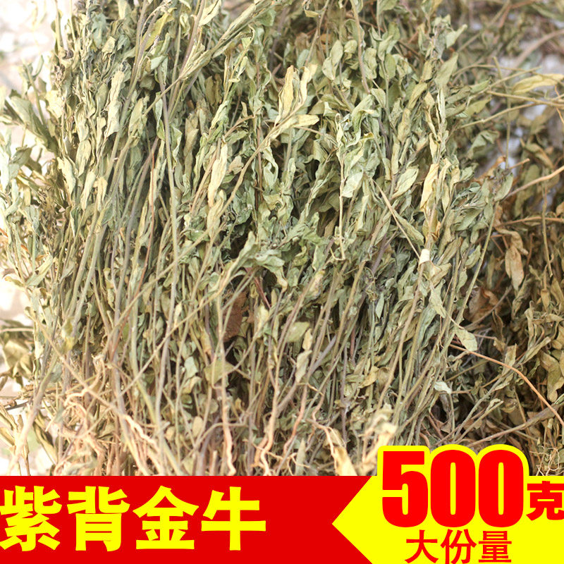 紫背金牛图片大,金不换(第6页)_大山谷图库