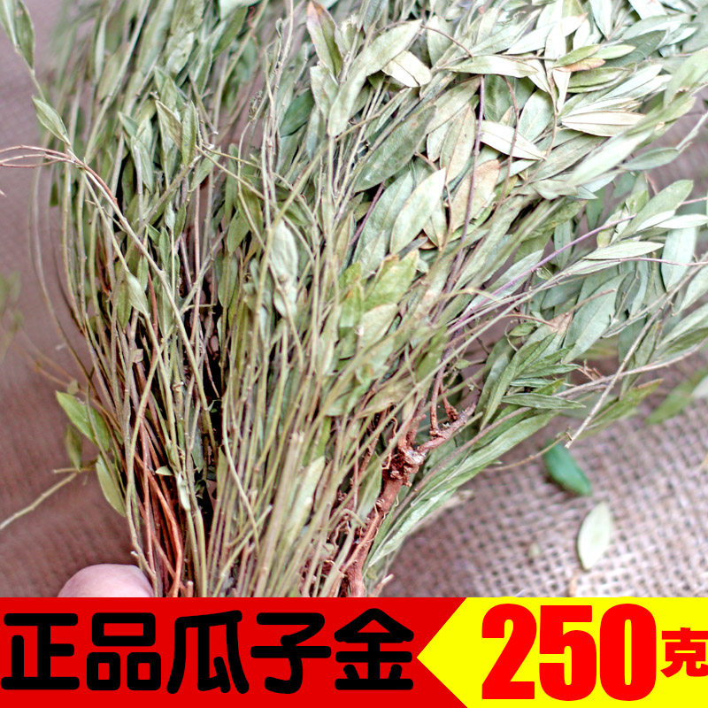 瓜子金中药材黄瓜仁草 瓜子草 辰砂草勒马回辰砂草惊风草干货小金