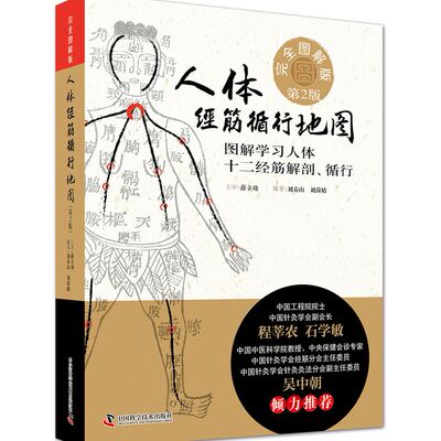 人体经筋循行地图 图解十二经络中医针灸书籍经络穴位图WF