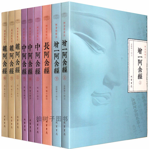 正版阿含经校注全九册rr