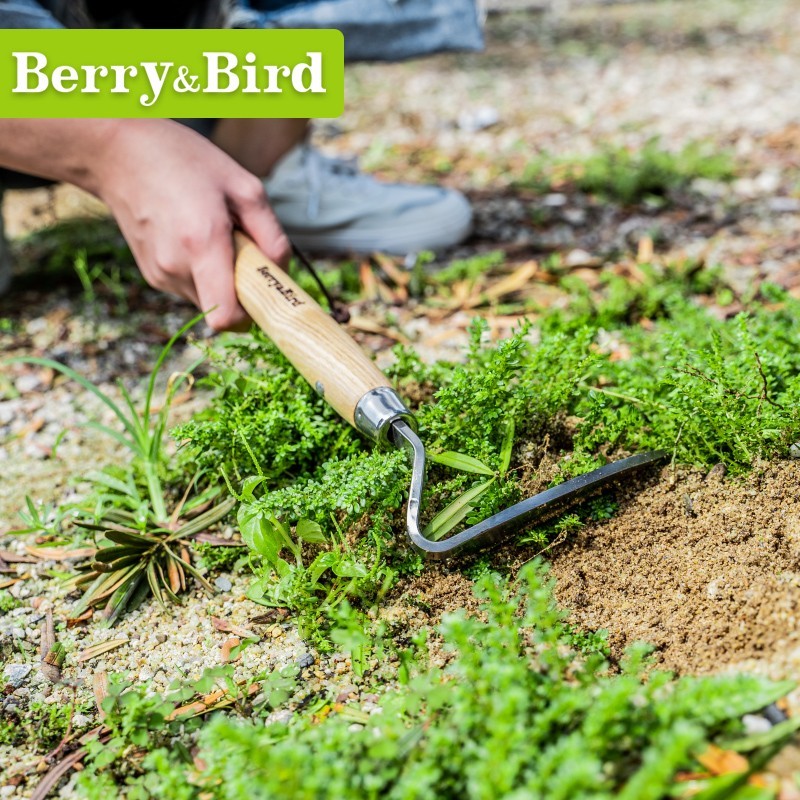 Berry&Bird不锈钢拔草刮草除草挖杂草种花多肉养花园艺铲子工具