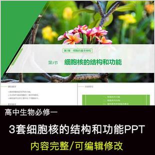 高中生物教育课件 细胞核的结构和功能 PPT模板成品公开课幻灯片