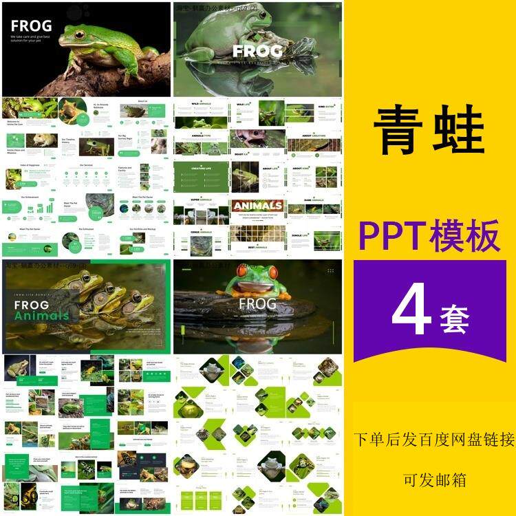 青蛙介绍简介认识观察保护动物幼儿园班会汇报主题背景ppt模板