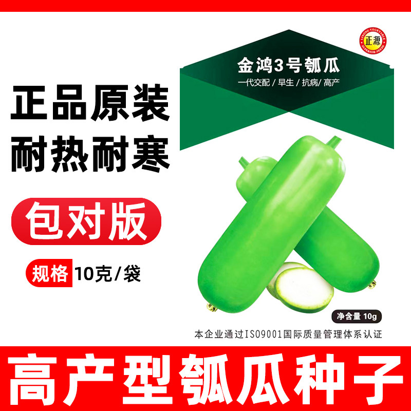 高产长瓠瓜种子四季秧苗图片