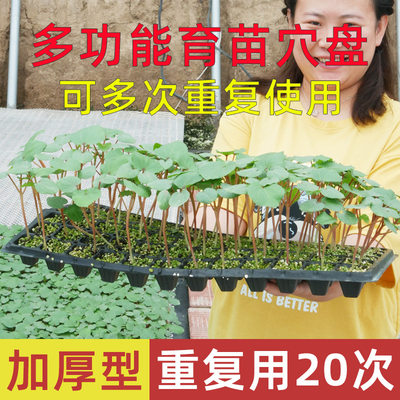 育苗穴盘托盘蔬菜专用盘