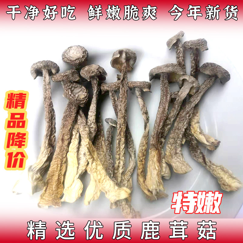 鹿茸菇井冈山特产干货500g鹿茸菌新鲜干货菌鹿茸菇干散装菌菇蘑菇