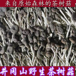 茶树菇不开伞茶树菌江西井冈山土特产农家自种食用菌蘑菇250g包邮