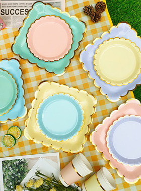 野餐盘一次性餐盘儿童生日派对春游户外网红野餐餐具蛋糕盘子纸盘